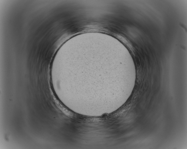 X0000097771431200804041142