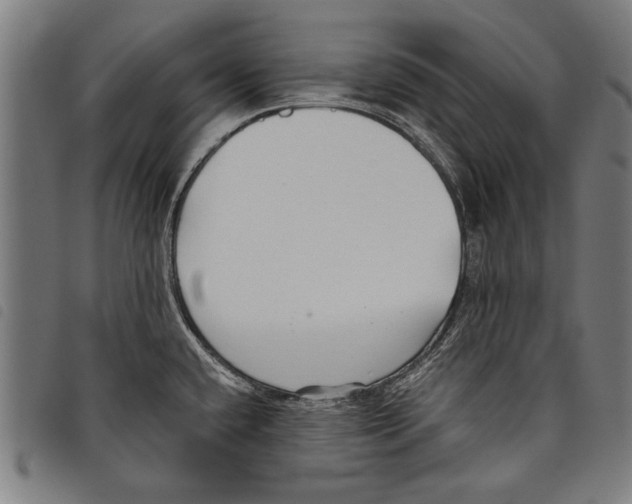 X0000097771432200804041142