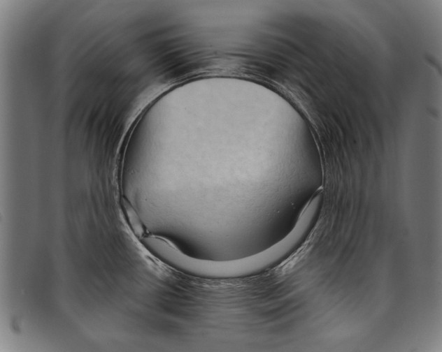 X0000097771434200804041142