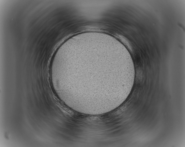 X0000097771435200804041142