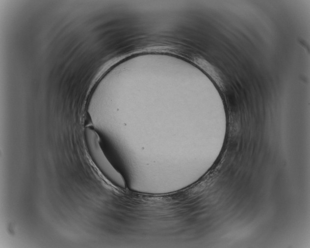 X0000097771436200804041142