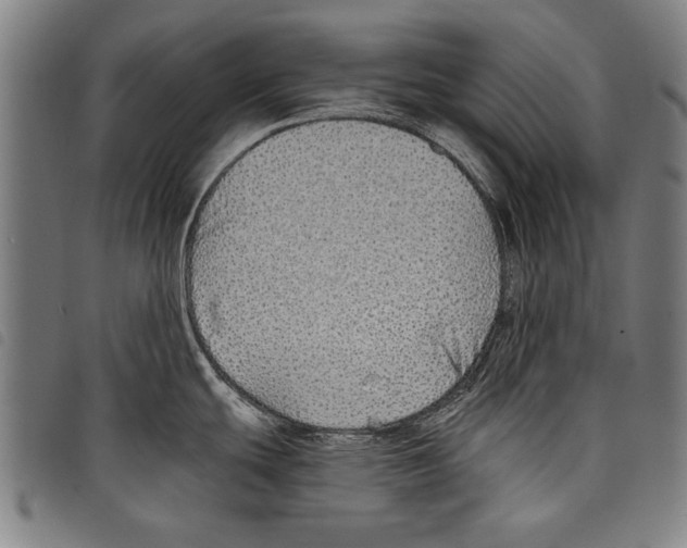 X0000097771439200804041143