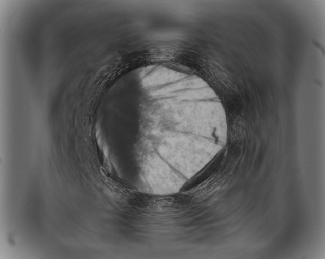 X0000097771441200804041142