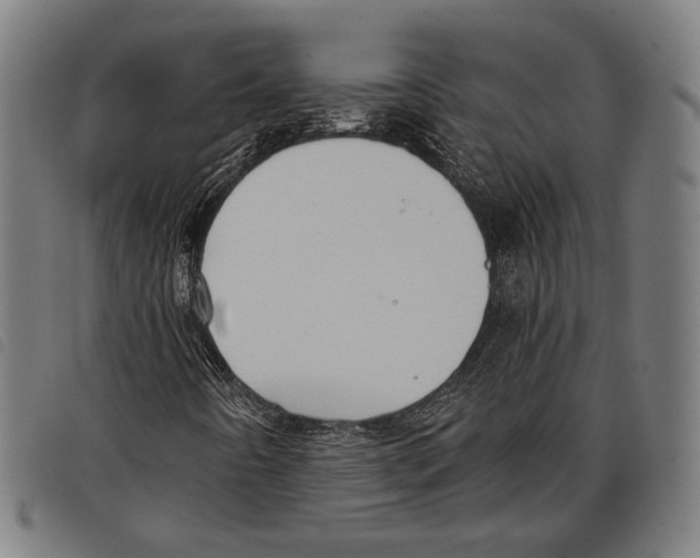 X0000097771442200804041142