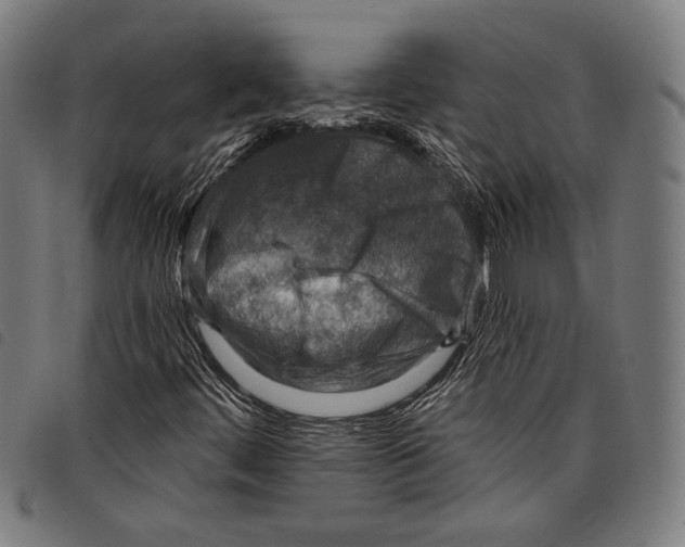 X0000097771444200804041142