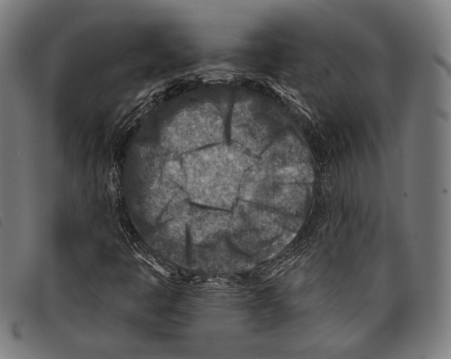 X0000097771445200804041142