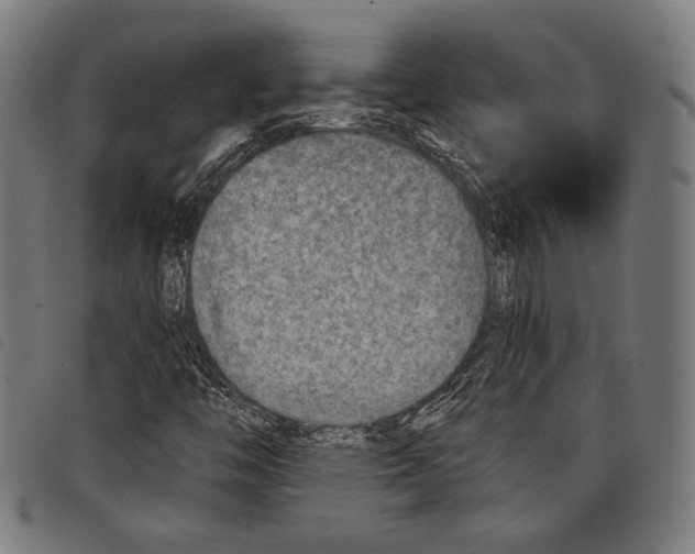 X0000097771446200804041142
