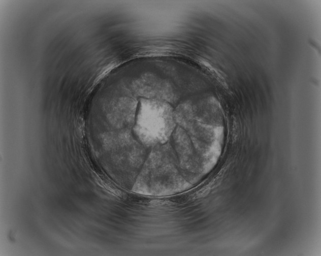 X0000097771449200804041142