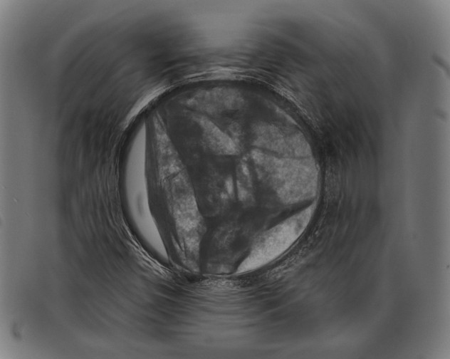 X0000097771450200804041142