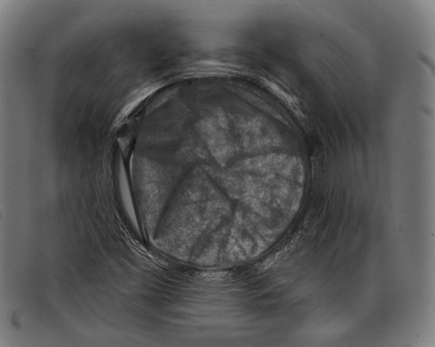 X0000097771453200804041142