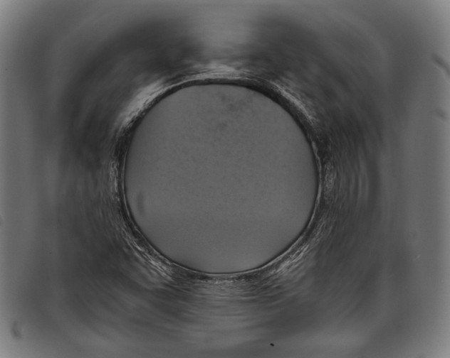 X0000097771455200804041142