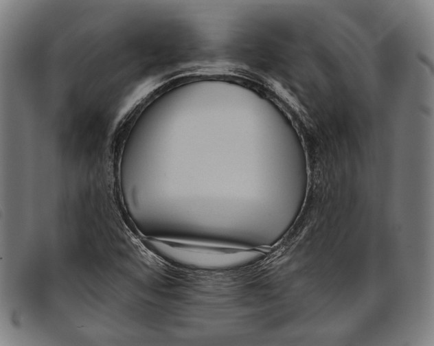 X0000097771456200804041142