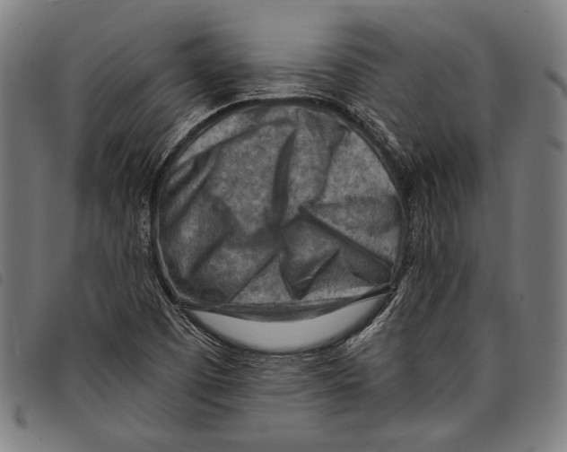 X0000097771457200804041142