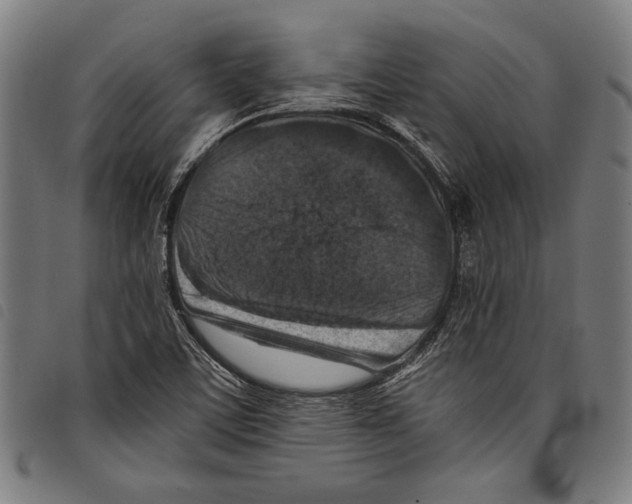 X0000097771459200804041142