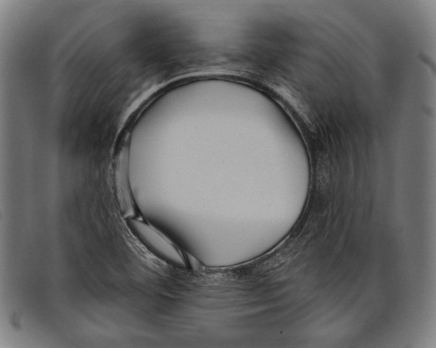 X0000097771460200804041142