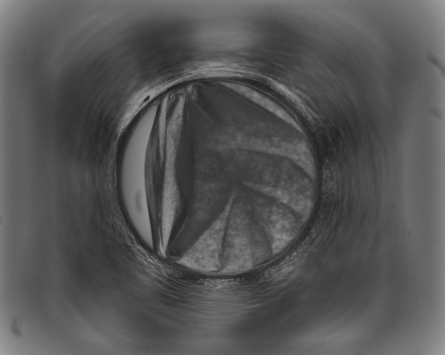 X0000097771461200804041142