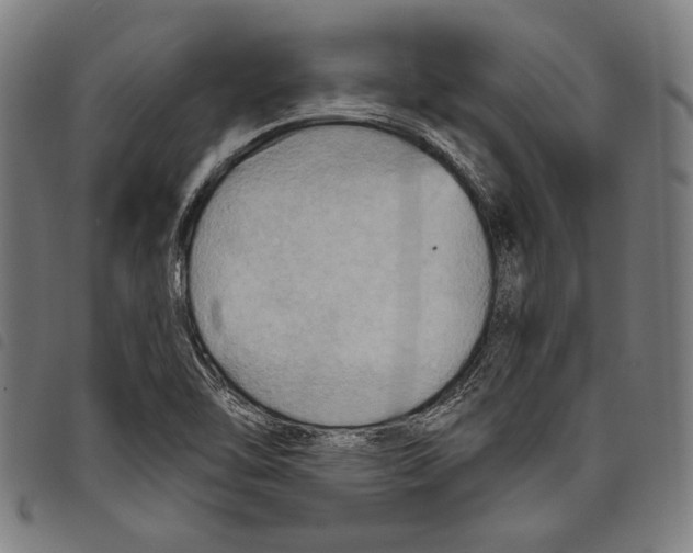 X0000097771462200804041142