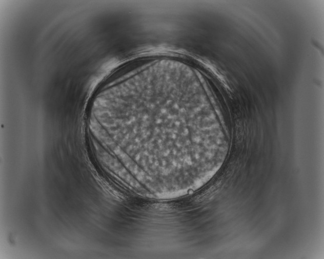 X0000097771463200804041142