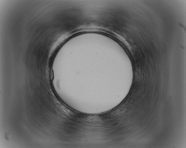 X0000097771464200804041142
