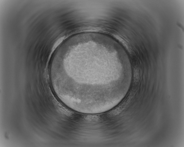 X0000097771466200804041142