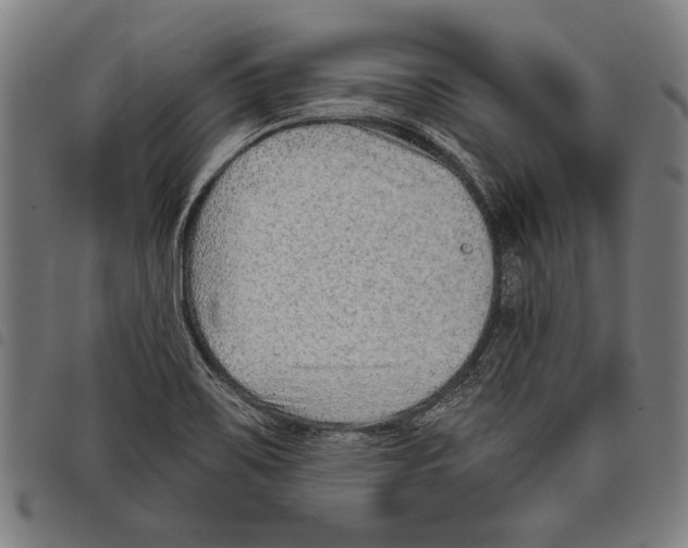 X0000097771467200804041142