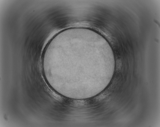 X0000097771470200804041141