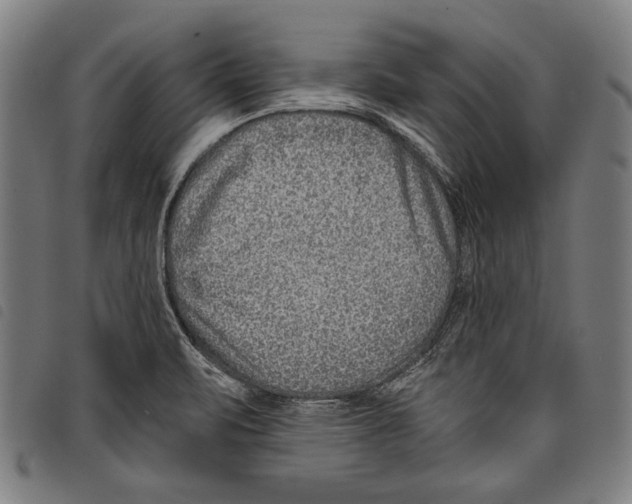 X0000097771471200804041141