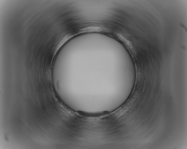 X0000097771473200804041141