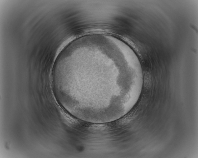 X0000097771474200804041141