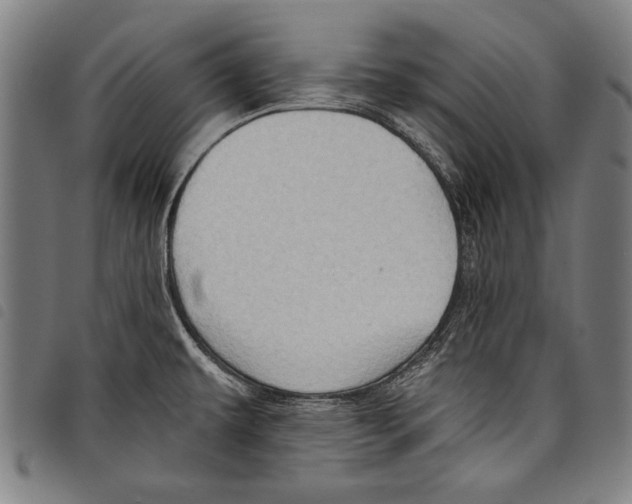 X0000097771479200804041141