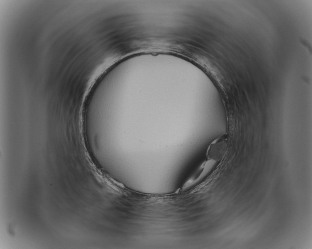 X0000097771480200804041141