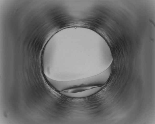 X0000097771483200804041141