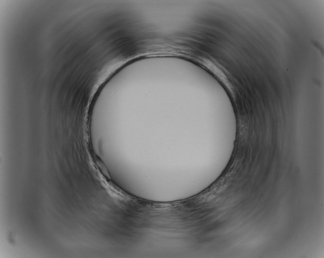 X0000097771485200804041141