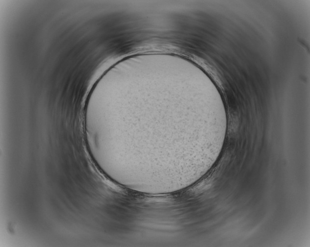 X0000097771486200804041141