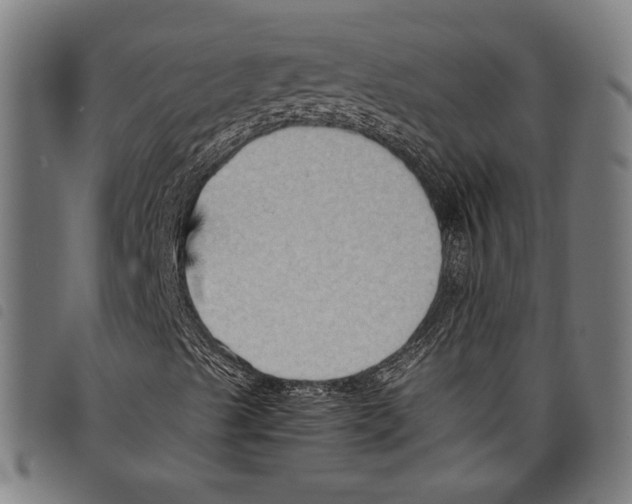 X0000097771489200804041140