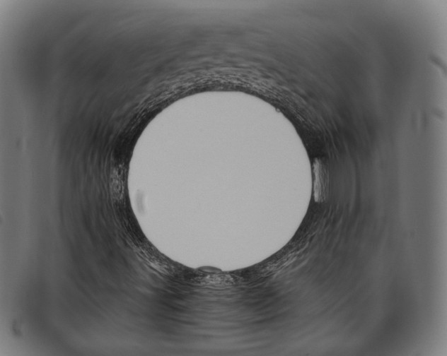 X0000097771491200804041140