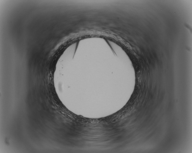 X0000097771495200804041141