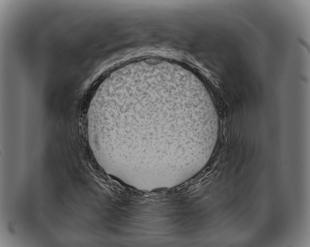 X0000097771496200804041141