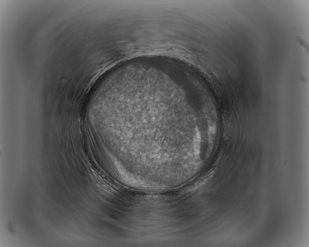 X0000097771497200804041141