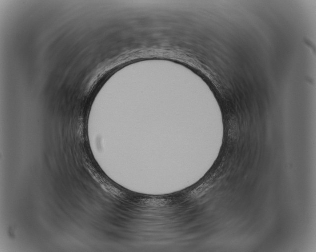 X0000097771499200804041141