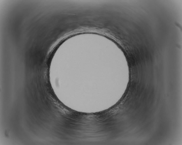 X0000097771502200804041141