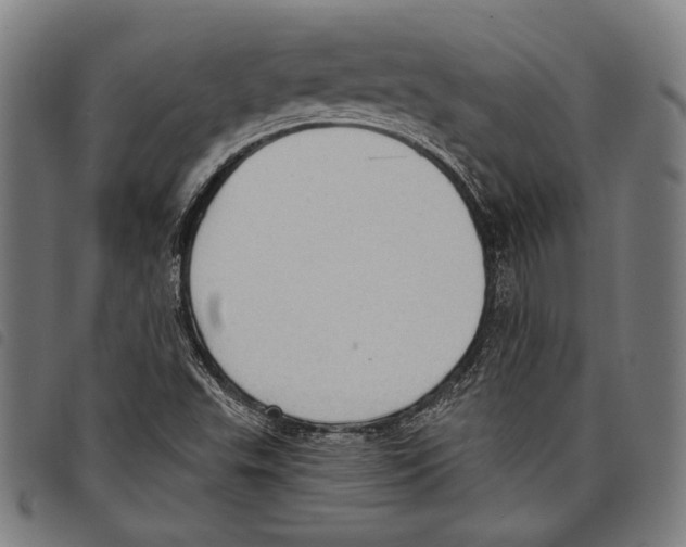 X0000097771503200804041141