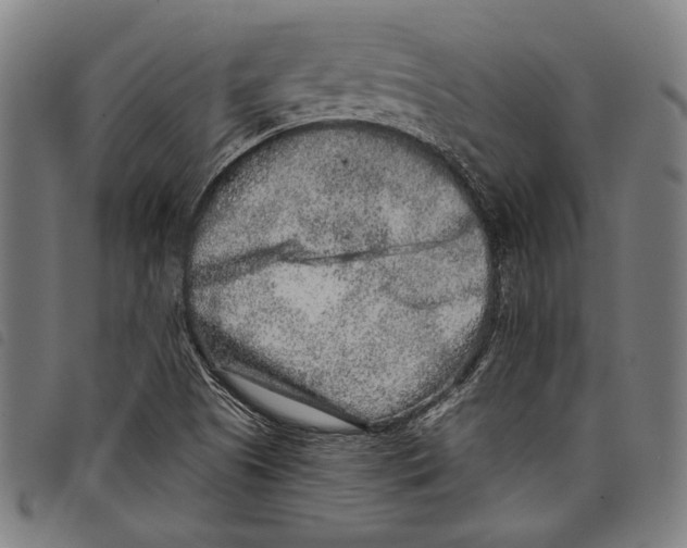 X0000097771505200804041141