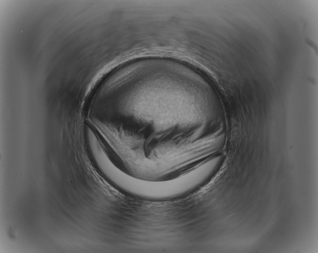 X0000097771506200804041141