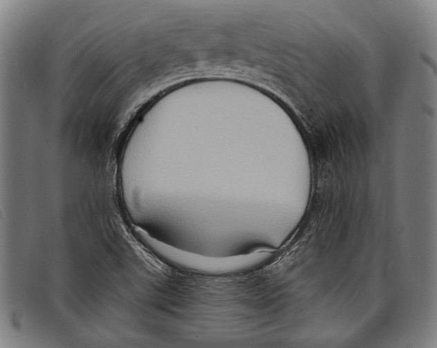 X0000097771507200804041141