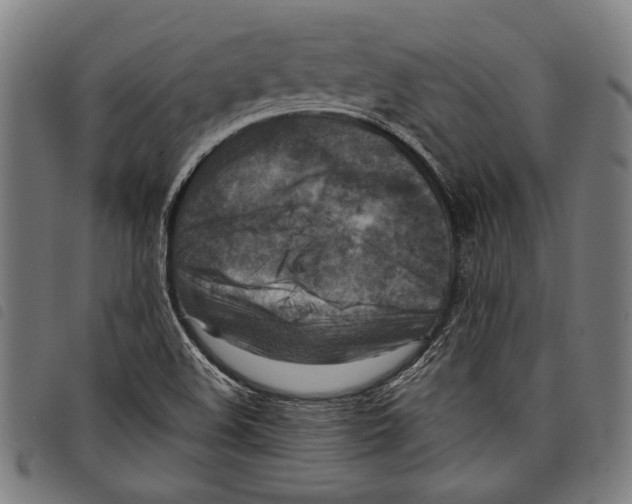 X0000097771508200804041141