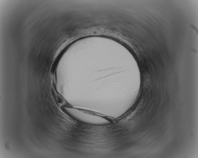 X0000097771509200804041141