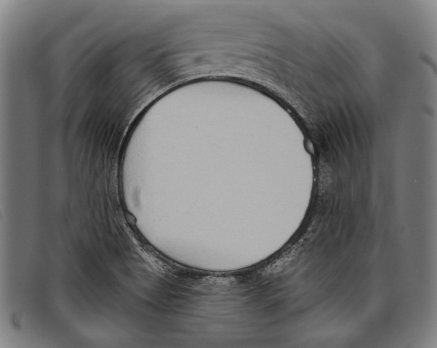 X0000097771513200804041141