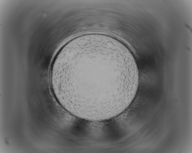 X0000097771514200804041141