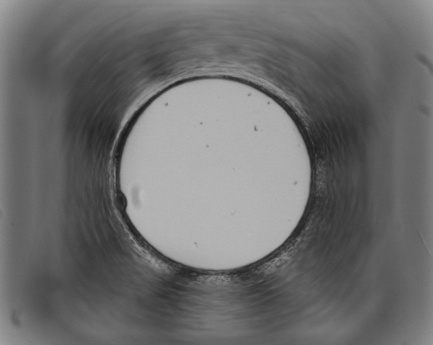 X0000097771517200804041141